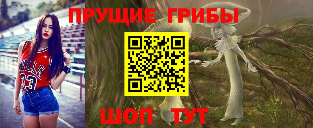 Галлюциногенные грибы ЛСД  Вход с VPN  Новозыбков 